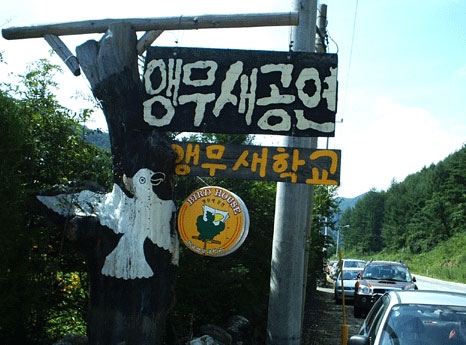 한국 앵무새 학교